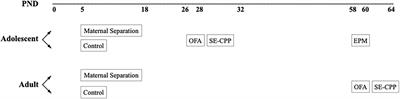 Age, β-endorphin, and sex dependent effects of maternal separation on locomotor activity, anxiety-like behavior, and alcohol reward